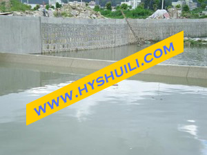 䓉�|�M�S���D(zhu��n)�l�T(m��n)